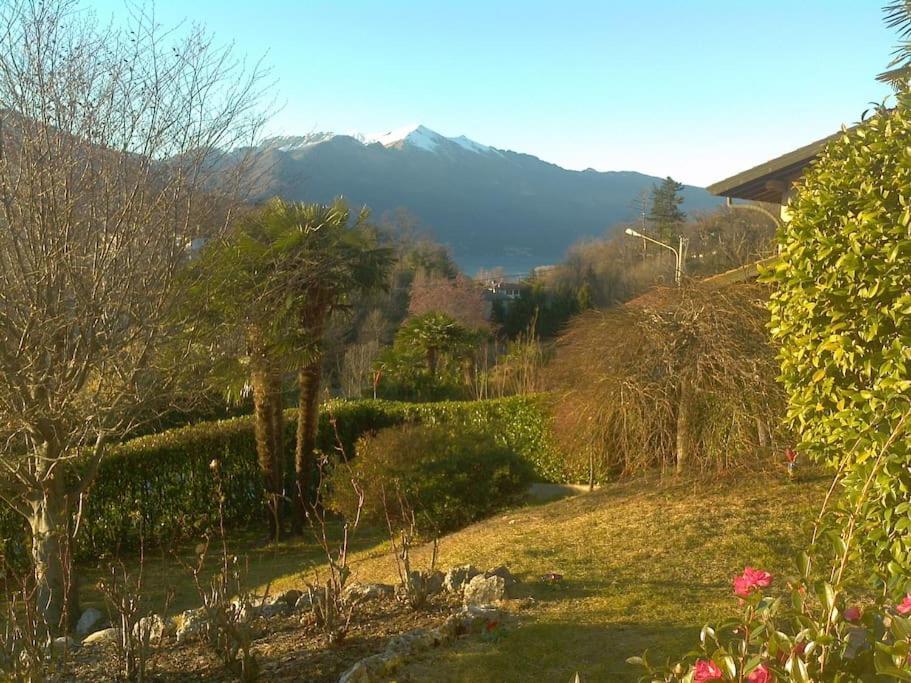 Amazing 3 Bedrooms Villa With Lavish Garden, Breathtaking Lake And Mountains View Luino Bagian luar foto