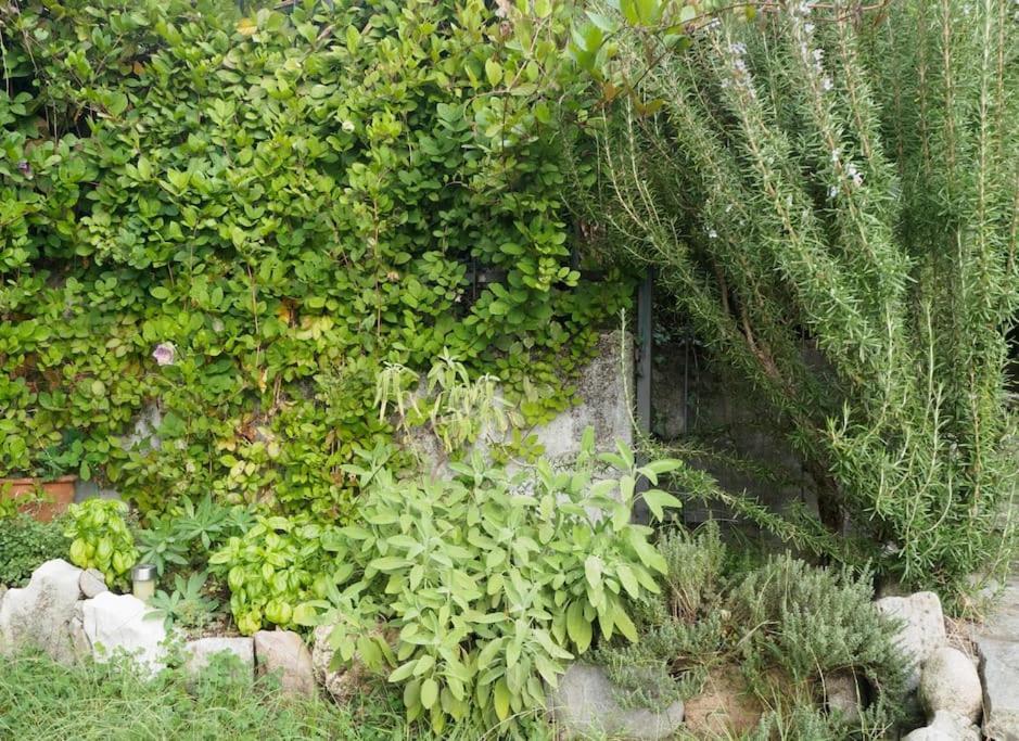 La Tua Villa Sul Lago - Casa Kollegger Luino Bagian luar foto
